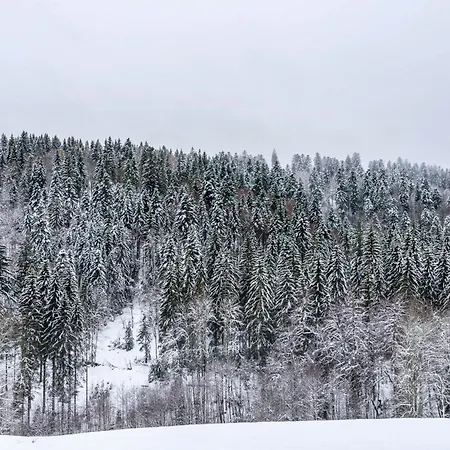 Apartman Koehlerstube *